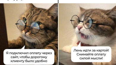 Photo of 4 шага для подключения оплаты через сайт
