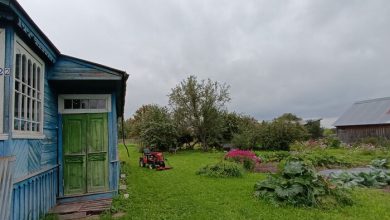 Photo of Как живется в деревне, после переезда из Москвы 2 года назад?