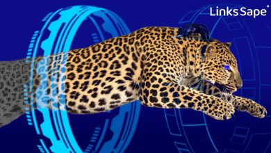 Photo of «Октябрьская эволюция» линкбилдинга от Sape