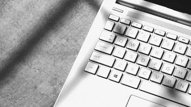 Photo of В Яндекс Вебмастере появились данные по «Динамическим местам на поиске β»