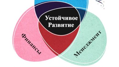 Photo of Разработка приложений