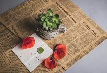 Photo of Минцифры еще не согласовало схему работы «белых списков» с ФСБ