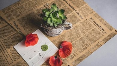 Photo of Минцифры еще не согласовало схему работы «белых списков» с ФСБ