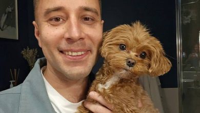 Photo of Про Tinder