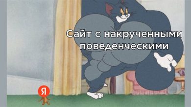Photo of Значимость поведенческих для SEO в Яндексе 2023