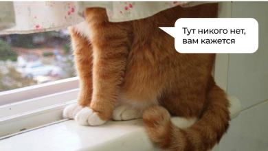 Photo of 5 способов привлечь внимание налоговой: схемы, от которых бизнесу давно пора отказаться