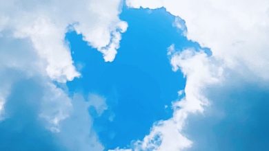 Photo of Bluesky набрал почти 800 тыс. новых пользователей за сутки