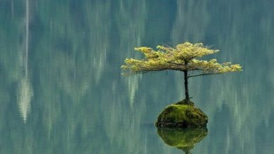 Photo of Виктор Ламбурт и Даниил Трабун:  Дзен у каждого свой