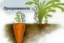 Photo of Разница между программистом и дизайнером — 28.10.25 20:56