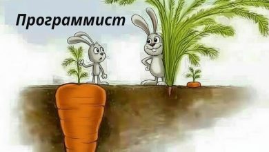 Photo of Разница между программистом и дизайнером — 28.10.25 20:56