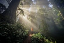 Photo of Нейросети для генерации визуала – добро или зло? Разбираемся с «дипфейками»