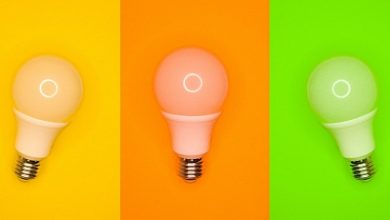 Photo of Wildberries & Russ покупает Рив Гош