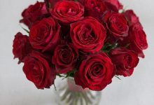 Photo of Как уменьшить цену лида в 4 раза на примере цветочного интернет-магазина