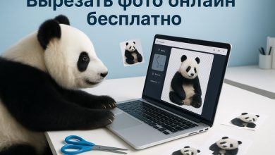 Photo of Бесплатные онлайн-сервисы для удаления фона с фото без водяных знаков и регистрации — 06.12.25 16:42