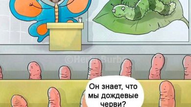 Photo of В М.Видео теперь можно и одежду прикупить — 26.03.26 15:33