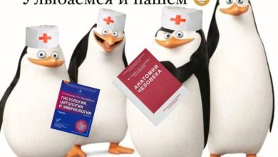 Photo of 10 лучших медицинских колледжей России: куда поступить в 2026