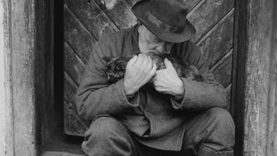 Photo of Образы старого мира (1972) / документальный фильм / Чехословакия — 06.03.26 22:25