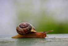 Photo of АКАР: объем российского рекламного рынка составил 981,6 млрд руб. в 2025 году