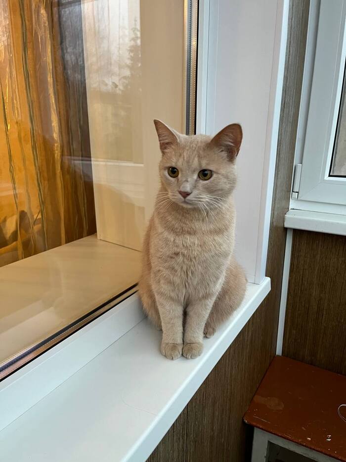 Как я переехал в новый город и ищу способы не уехать обратно: разработчик ищет задачи 