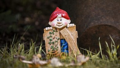 Photo of «Видимость сайта в Алисе AI»: новый инструмент в Яндекс Вебмастере