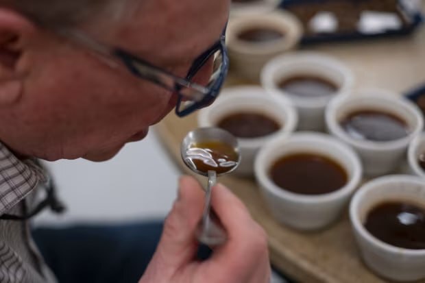 Существует команда дегустаторов кофе, которая устанавливают цены на него на мировом рынке 