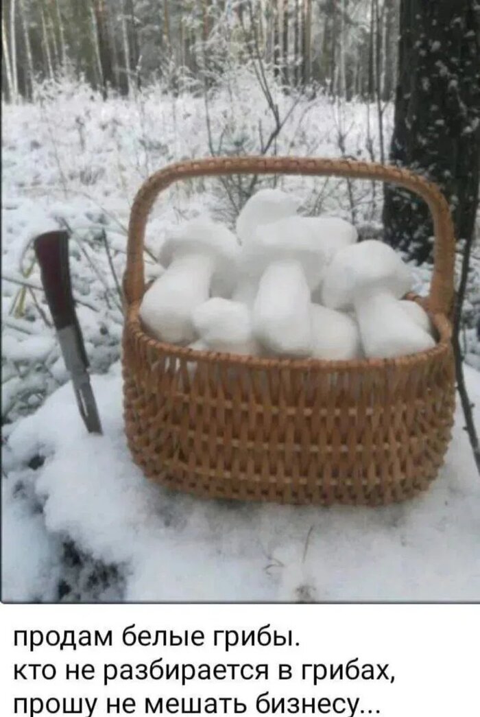 Свежие, апрельские 