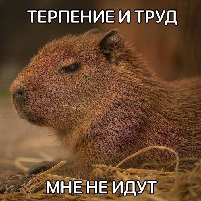 Временные таблицы в базе данных 