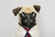 Photo of Мемы как новый бизнес-инструмент: как брендам зарабатывать на вирусном эффекте