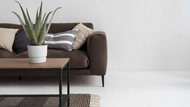 Photo of Секреты сезонного SEO для мебельного бизнеса