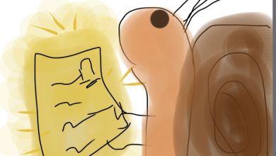 Photo of Жду тебя — 12.04.26 10:32