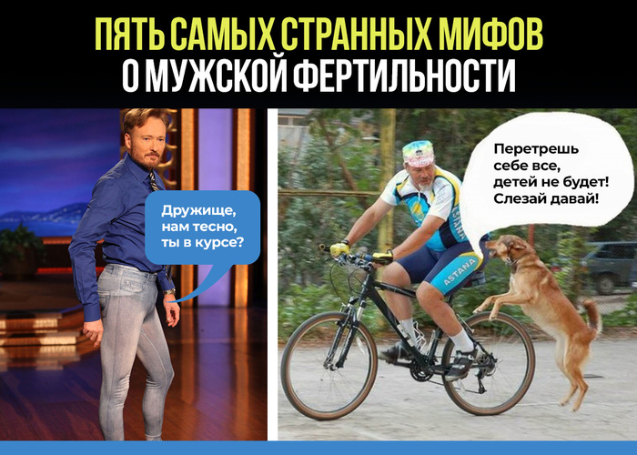 Мифы о мужской фертильности