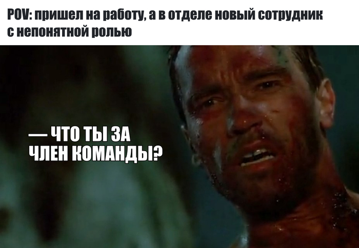 Угадайте IT-профессию по описанию: викторина из 6 вопросов