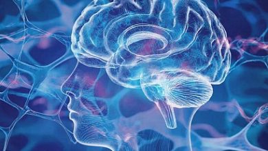 Photo of Google выпустила Gemini 3.7 Flash через три недели после предыдущей версии