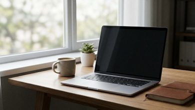Photo of SEO-диверсия изнутри: зачем прятать служебные страницы, пока поисковик не наказал вас