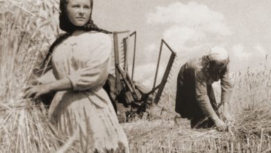 Photo of Какие были налоги с населения, предприятий и колхозов в СССР? — BanksToday