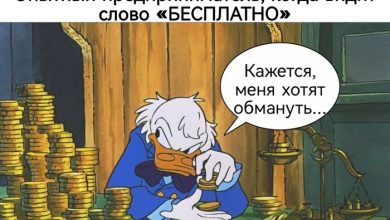 Photo of Гайд для предпринимателя: сколько нормально платить за кассовое ПО — 20.03.25 16:18