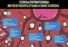 Photo of Как стать донором спермы