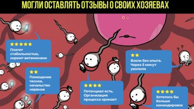 Photo of Как стать донором спермы