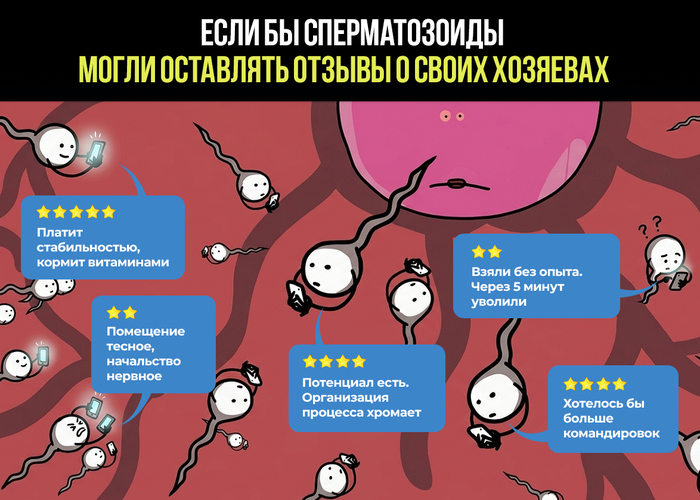 Как стать донором спермы